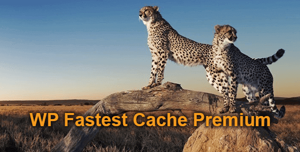 Wordpress缓存插件WP Fastest Cache Premium破解版下载v1.7.0