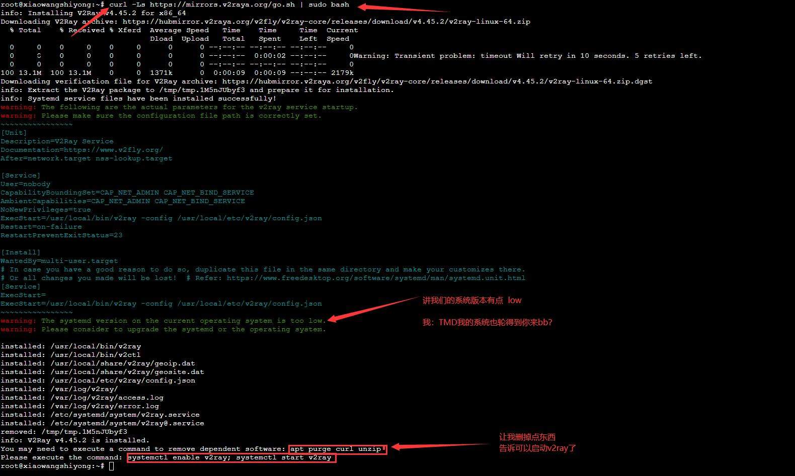 Linux使用v2ray客户端带WEB GUI部署教程
