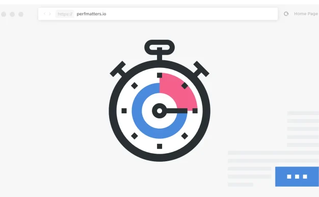 WordPress优化加速插件Perfmatters破解版v2.2.1汉化版