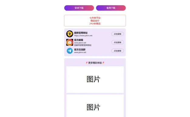 2024首发最火的软件宣传单页源码