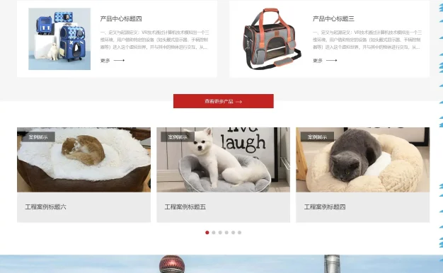 宠物装备用品精美宠物商城网站模板 吸引宠物主人的目光