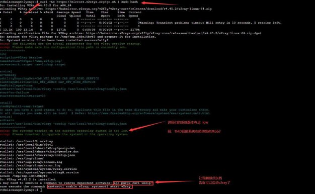 Linux使用V2ray客户端带WEB GUI部署教程