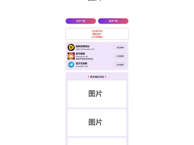 2024首发最火的软件宣传单页源码