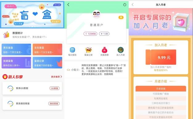 新版免公众号交友恋爱盲盒系统源码 - 互动打赏与智能匹配