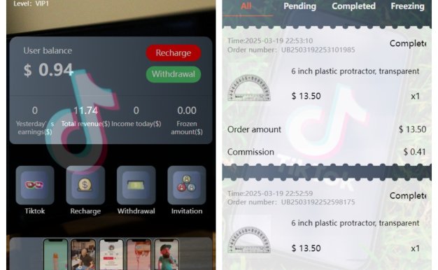 新版本海外TikTok多语言抢单系统源码/带文本搭建教程