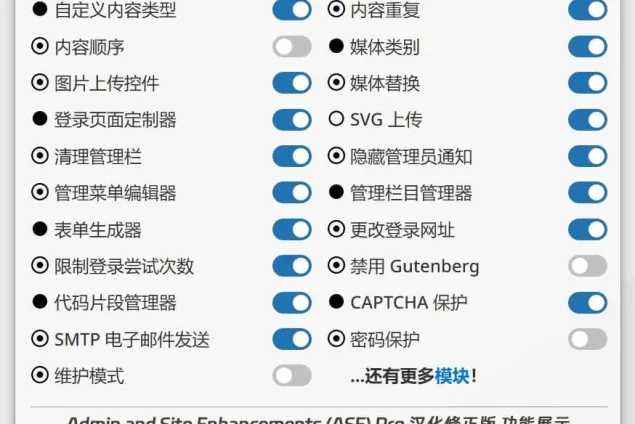 Admin and Site Enhancements (ASE) Pro 汉化版 – WP 增强工具箱
